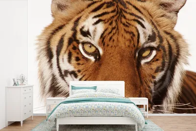 Produktbild von MuchoWow® Fototapete für Wohnzimmer oder Schlafzimmer Wandtapete Vinyl Motivtapete Porträt - Tiger - Tier - 525x350 cm - Das Hintergrundbild