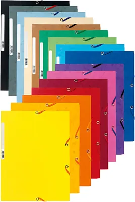 Produktbild von EXACOMPTA Eckspannermappe, DIN A4, Karton, farbig sortiert (Neu)