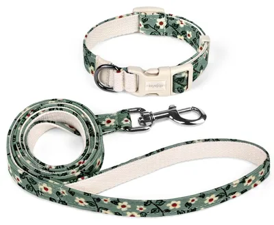 Produktbild von Halsband- und Leinen-Set für Welpen und kleine Hunde