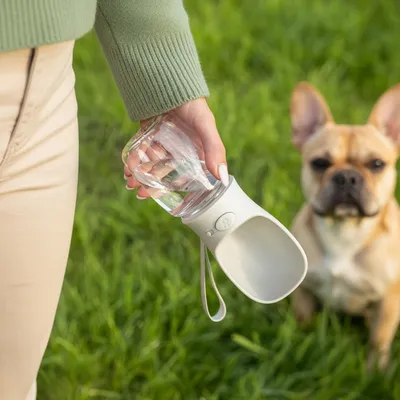 Produktbild von belviona Trinkflasche für Hunde & Katzen, auslaufsicherer Wasserspender mit Einhandbedienung, ideal für Spaziergänge & Reisen, 350 ml grau