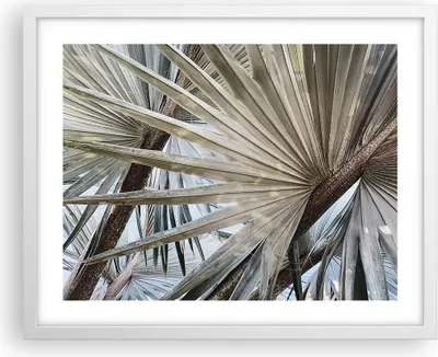 Produktbild von Gerahmtes Poster - Weißer Rahmen - Blatt Palme Natur - 50x40 cm - Wand Bild - Wanddeko - Wandbilder - Kunstposter - Wandposter - Bilderrahmen - Bilder - Kunstdruck - Wanddekoration - P2WAA50x40-5056