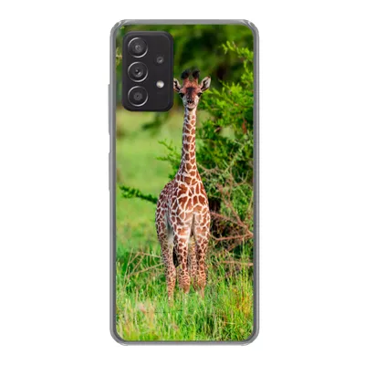 Produktbild von MuchoWow® Handyhülle Schutzhülle Hülle für Samsung galaxy a73 Baby - Giraffe - Pflanzen Silikon Softcase Handy Hülle - Handyhülle