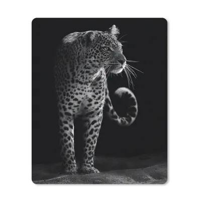 Produktbild von MuchoWow® Mauspad Mousepad Wildtiere - Leopard - Natur - Schwarz - Weiß 30x40 cm - Mousepads - Maus Mat - Pad - Mausunterlage - Mausmatten