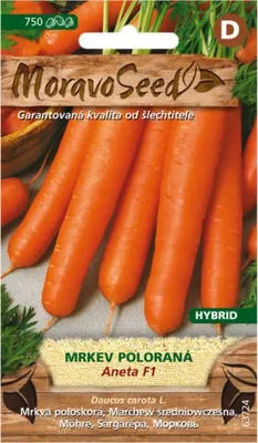 Obrázek produktu pro Mrkev karotka poloraná ANETA F1 - hybrid 63724