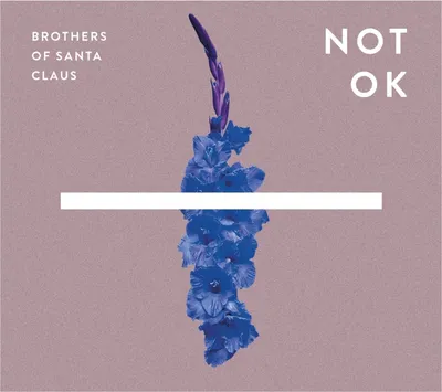Produktbild von Not Ok