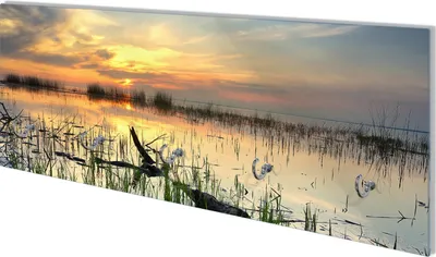 Produktbild von Wallario Flurgarderobe Wandgarderobe aus Glas, mit 5 Haken, Größe 80 x 30 cm, Motiv Schilf am Abend - Sonnenuntergang über der Seelandschaft