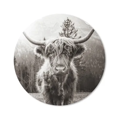 Produktbild von MuchoWow® Mauspad Mousepad Schottischer Highlander - Tiere - Schwarz - Weiß 50x50 cm - Mousepads - Maus Mat - Pad - Mausunterlage - Vinyl