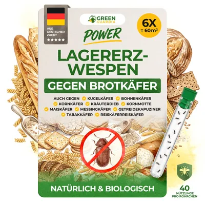 Produktbild von GREEN GUARDIA Lagererzwespen gegen Brotkäfer - 6 Röhrchen à 40 Nützlinge - effektiv Kornkäfer, Messingkäfer, Speckkäfer uvm. bekämpfen.