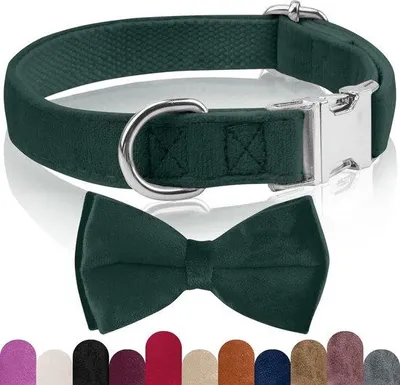 Produktbild von Famanu Hundehalsband aus Samt mit abnehmbarer Schleife - Verstellbar und komfortabel für alle Hunderassen