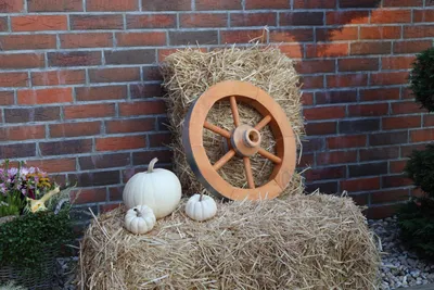 Produktbild von Wagenrad Ø 50 cm Kiefer honigbraun