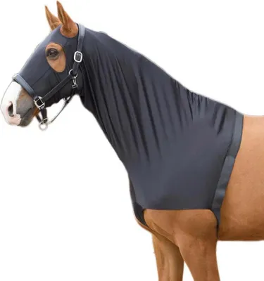 Image de Harry's Horse Elastic With Hood Brustschutz Blau XL Blau XL