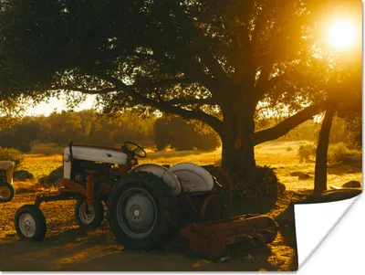 Produktbild von MuchoWow® Poster Traktor - Sonne - Baum - Landschaft 80x60 cm - Kunst für zu Hause