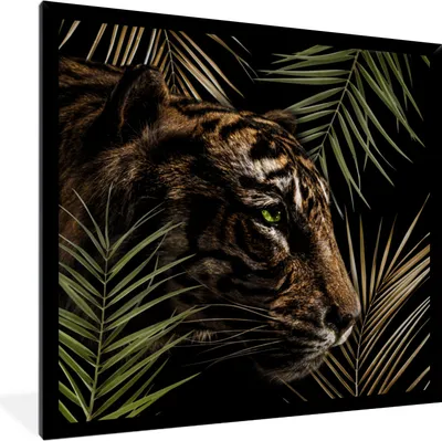Produktbild von MuchoWow® MuchoWow® Gerahmtes Poster Tiger - Farn - Blätter 40x40 cm - Poster mit zchwarzem Bilderrahmen - Mit Rahmen - Wanddekoration Schlafzimmer