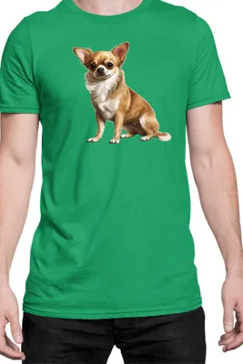 Produktbild von Herren T-Shirt Dogs Breeds Chihuahua Dog Breed 006, Man L / Grün