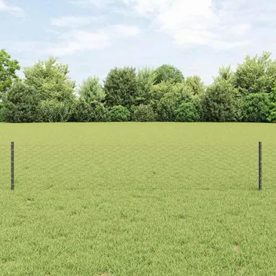 Immagine prodotto di Recinzione in Rete Saldato 10 x 0,4 m (P x H)