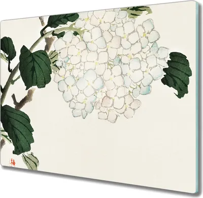Produktbild von Coloray Kochplattenabdeckung Herdabdeckplatte 60x52 cm Hackbrett Schneidebrett Küchenbrett - Blätter Zweige