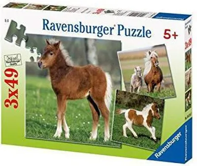Produktbild von Ravensburger 09254 - Ponyfreundschaft