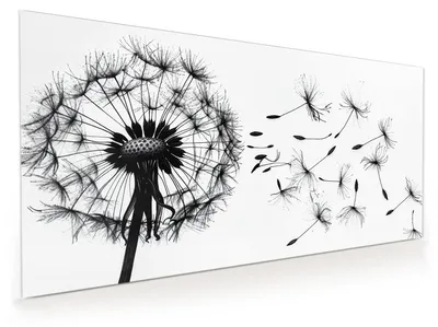 Produktbild von Küchenrückwand Spritzschutz Glas mit Motiv Pusteblume 40 x 40 cm