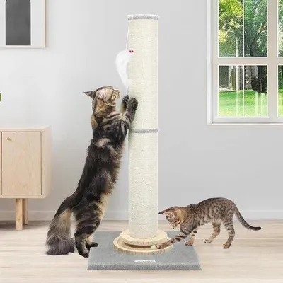 Immagine prodotto di Torre tiragraffi XXL da 90 cm, 2 in 1, regolabile, in sisal, per gatti di grossa taglia