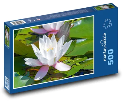 Zdjęcie produktu dla martinpuzzle - Puzzle 500 - Leknín