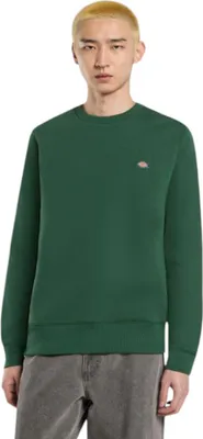 Produktbild von Dickies Sweatshirt DK0A4XCEPIN1 in Green color size large