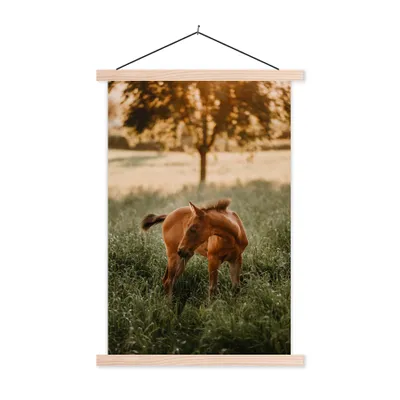 Produktbild von MuchoWow® Textilposter Pferd - Gras - Baum 40x60 cm mit holzfarbenen Rahmen - Poster