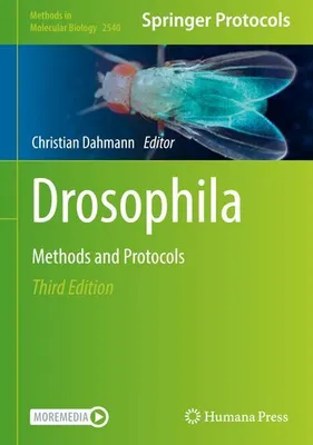 Image de Drosophila