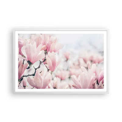 Produktbild von Gerahmtes Poster - Weißer Rahmen - Magnolie Blumen Rosa - 91,5x61 cm - Wand Bild - Wanddeko - Wandbilder - Kunstposter - Wandposter - Bilderrahmen - Bilder - Kunstdruck - P2WAA91x61-4396