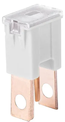 Immagine prodotto di Fusibili auto 120A JAPVAL PAL maschio 2 pz. AMIO-03404