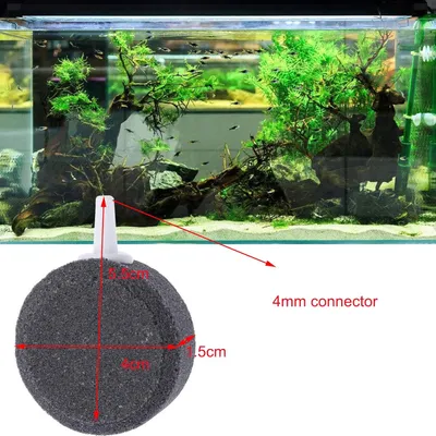 Produktbild von Poreuse Steine für Aquarien und Teiche, 10 Stück, Männergröße