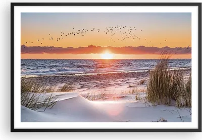 Produktbild von Gerahmtes Poster - Schwarzer Rahmen - Sonne Strand Vögel - 91,5x61 cm - Wand Bild - Wanddeko - Wandbilder - Kunstposter - Wandposter - Bilderrahmen - Bilder - Kunstdruck - P2BAA91x61-4727