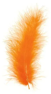 Produktbild von Marabu-Federn ca. 15 cm, 15 Stück, orange