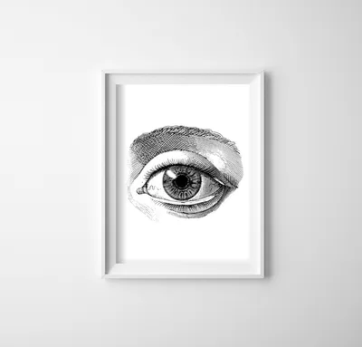 Produktbild von Poster - Canvas - Leinwand - 29,7 cm x 42 cm - Auge Anatomie