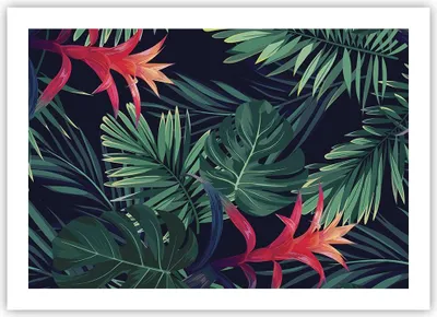 Produktbild von Poster - Poster ohne Rahmen - Exotisch Blumen Blätter - 70x50 cm - Wand Bild - Wanddeko - Wandbilder - Kunstposter - Wandposter - Bilder - Kunstdruck - Wanddekoration - Wandbild - P2XAA70x50-4308