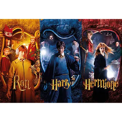 Image de Puzzle 1000 elementów Harry Potter - Harry, Ron i Hermione