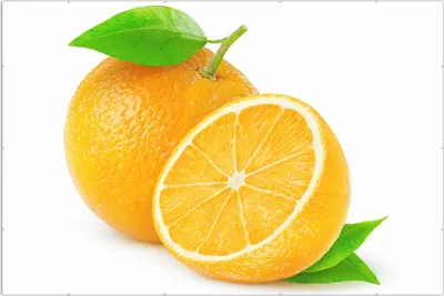 Produktbild von Wallario Wandbild Saftige Orangen vor weißem Hintergrund, Größe: 61 x 91,5 cm, Poster mit rahmenlosen Bildhalter