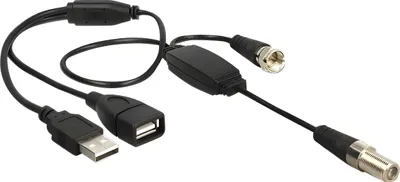 Image de DELOCK HF Kabel F -> F Bu/St +USB A Stecker Phantomsp