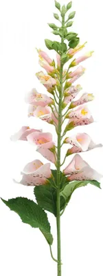 Produktbild von Künstliche Seidenblume Fingerhut Rosa 90cm Deko Blumengesteck