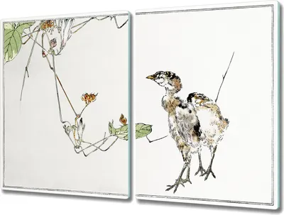 Produktbild von Coloray Hackbrett Küchenbrett Kochplattenabdeckung Schneidebrett Herdabdeckplatte 2x40x52 cm - Tiere Vögel Hühner