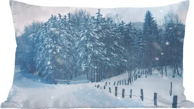 Produktbild von MuchoWow® Zierkissen Sofakissen Wohnzimmer Dekokissen 60x40 cm Wald - Schnee - Winter - Kopfkissen - Polster mit Foto
