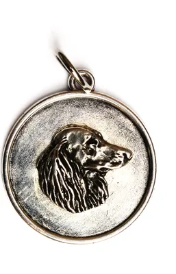Immagine prodotto di Bassotto a pelo ruvido, bassotto, teckel V - Collana con cane, ciondolo per mamma cane, gioiello unico del marchio Art-Dog
