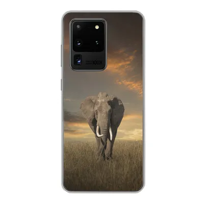 Produktbild von MuchoWow® Handyhülle Schutzhülle Hülle für Samsung Galaxy S20 Ultra Elefant - Tiere - Gras - Natur Silikon Softcase Handy Hülle - Karteninhaber