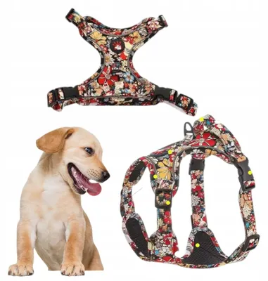 Produktbild von Druckfreies, verstellbares Hundegeschirr für kleine Hunde