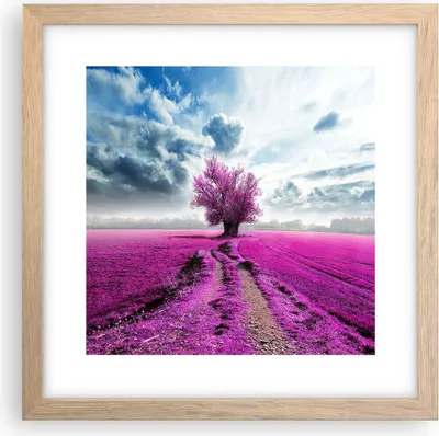 Produktbild von Gerahmtes Poster - Rahmen in heller Eiche - Heidefeld Baum Wolken Landschaft - 30x30 cm - Wand Bild - Wanddeko - Wandbilder - Wandposter - Bilderrahmen - Bilder - Kunstdruck - P2NAC30x30-2547