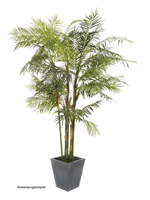 Zdjęcie produktu dla EUROPALMS Cycas cane palm, sztuczna roślina, 280 cm