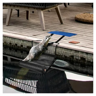 Produktbild von Fluchtrampe für Tiere, Rettungsrampe für Kleintiere im Pool, Poolrettung, Schwimmende Rampe für Tierrettungen, Zubehör zur Reduzierung der Poolwartung