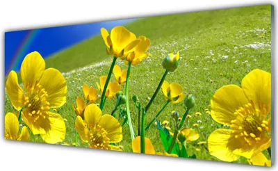 Produktbild von Acrylglasbilder 125x50 Wandbild Druck Wiese Blumen Regenbogen Natur