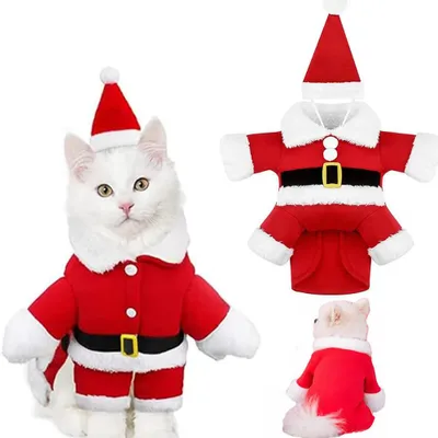 Produktbild von Weihnachtskostüm für Hunde und Katzen – Größe M – Weihnachtspullover für Haustiere – Hundekleidung – Weihnachtsoutfit – Winterbekleidung