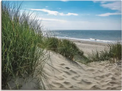 Produktbild von ARTland Leinwandbild Dünenlandschaft im Sommer an der Nordsee Größe: 60x45 cm