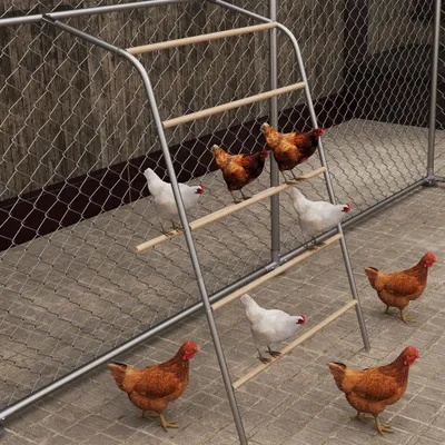 Produktbild von Solidchoice – 5-stufige Holz-Schaukel für Hühner mit Leiter und Spielbereich